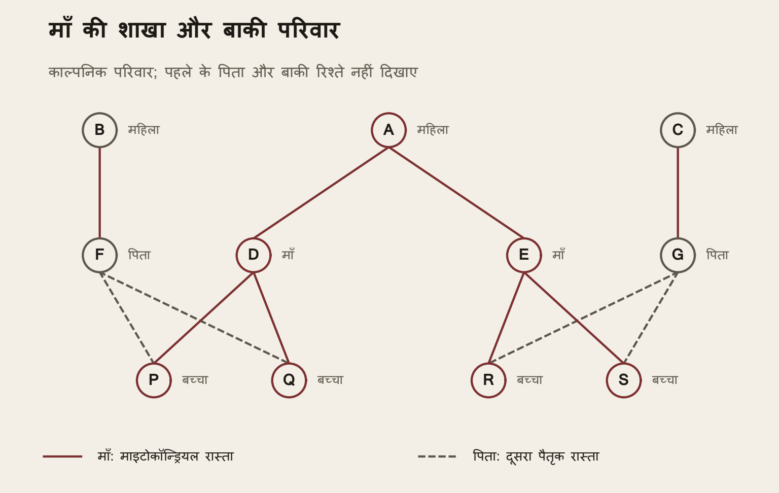 काल्पनिक परिवार में महिला ए की बेटियाँ डी और ई हैं। बी का बेटा एफ और सी का बेटा जी है। डी-एफ के बच्चे पी-क्यू हैं। ई-जी के बच्चे आर-एस हैं। सब बच्चों का माँ वाला माइटोकॉन्ड्रियल रास्ता ए से है। पिता की तरफ से बी, पी-क्यू की दादी है और सी, आर-एस की। पहले के बाकी पिता नहीं दिखाए। ठोस रेखाएँ माँ से विरासत और टूटी रेखाएँ पिता का रिश्ता हैं।