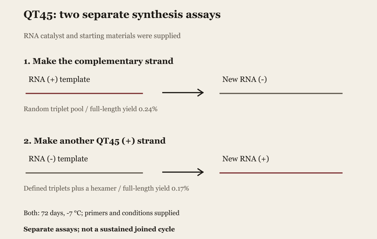 Two separate QT45 RNA synthesis assays. A supplied plus-strand template gives a complementary minus strand with reported full-length yield 0.24%. A supplied minus-strand template gives a plus strand with yield 0.17%. QT45 catalyst, primers and triplet substrates are supplied; the second assay also uses a supplied hexamer. Both yields are after 72 days under the reported conditions. The arrows do not show an autonomous joined cycle.