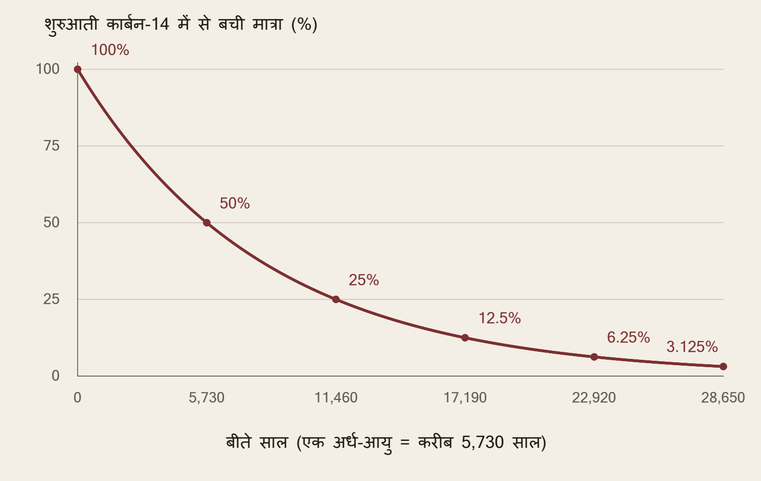 हिसाब से बना आदर्श क्षय वक्र। शून्य साल पर 100 प्रतिशत; 5,730 पर 50; 11,460 पर 25; 17,190 पर 12.5; 22,920 पर 6.25; 28,650 पर 3.125 प्रतिशत। नया कार्बन नहीं जुड़ता। यह मापा डेटा या कैलिब्रेशन वक्र नहीं है।