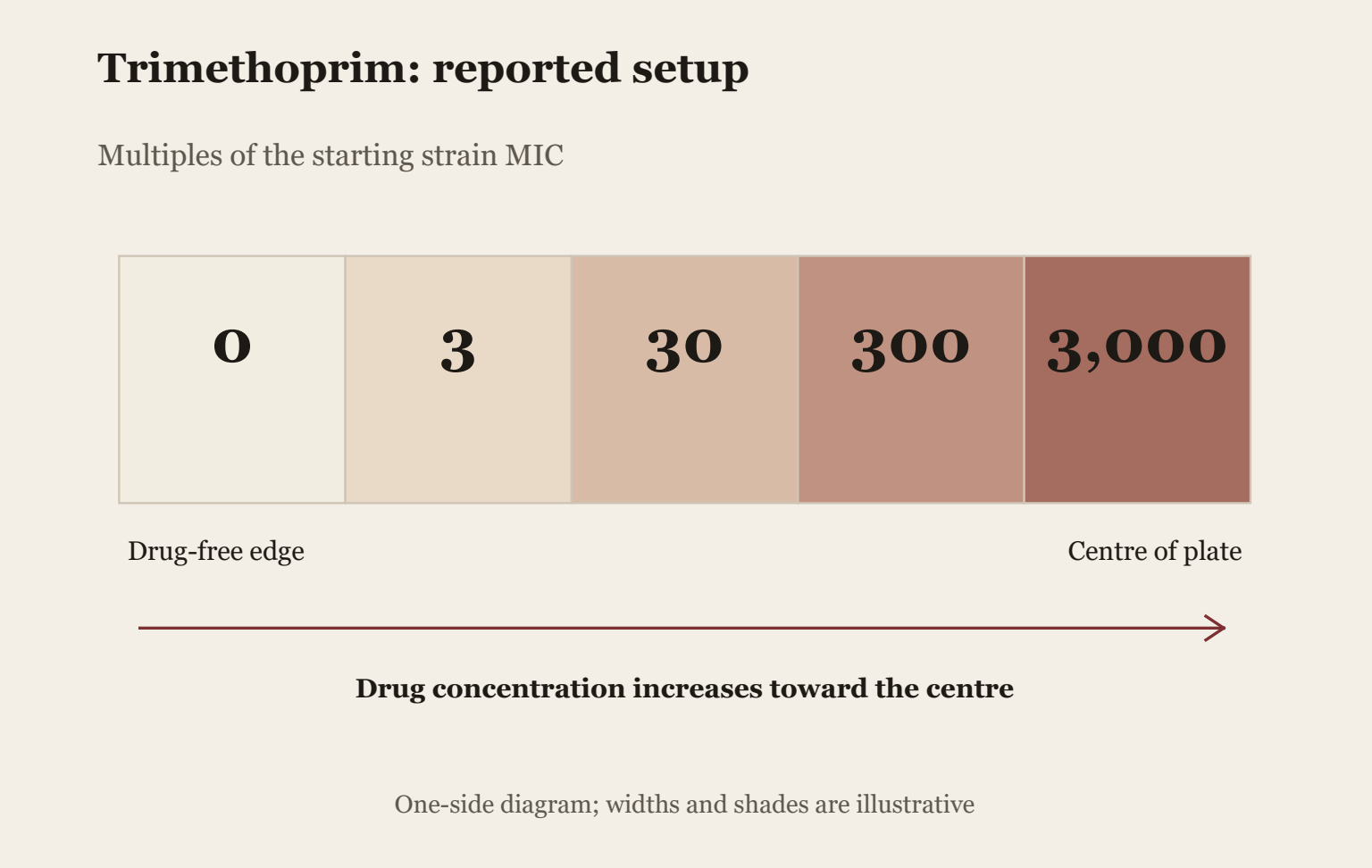 Diagram of the reported TMP setup, not experimental outcome data. Five zones from a drug-free edge toward the centre are labelled 0, 3, 30, 300, and 3000 times the starting strain MIC. The complete plate was symmetric. Widths and shades are illustrative.